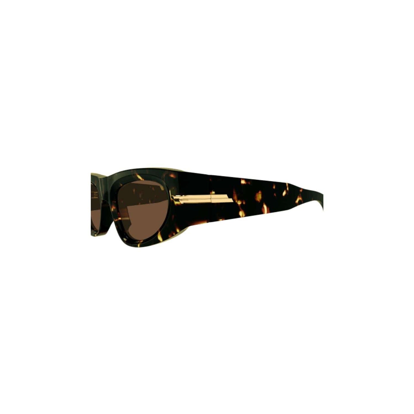 Bottega Veneta BV1144S - carey