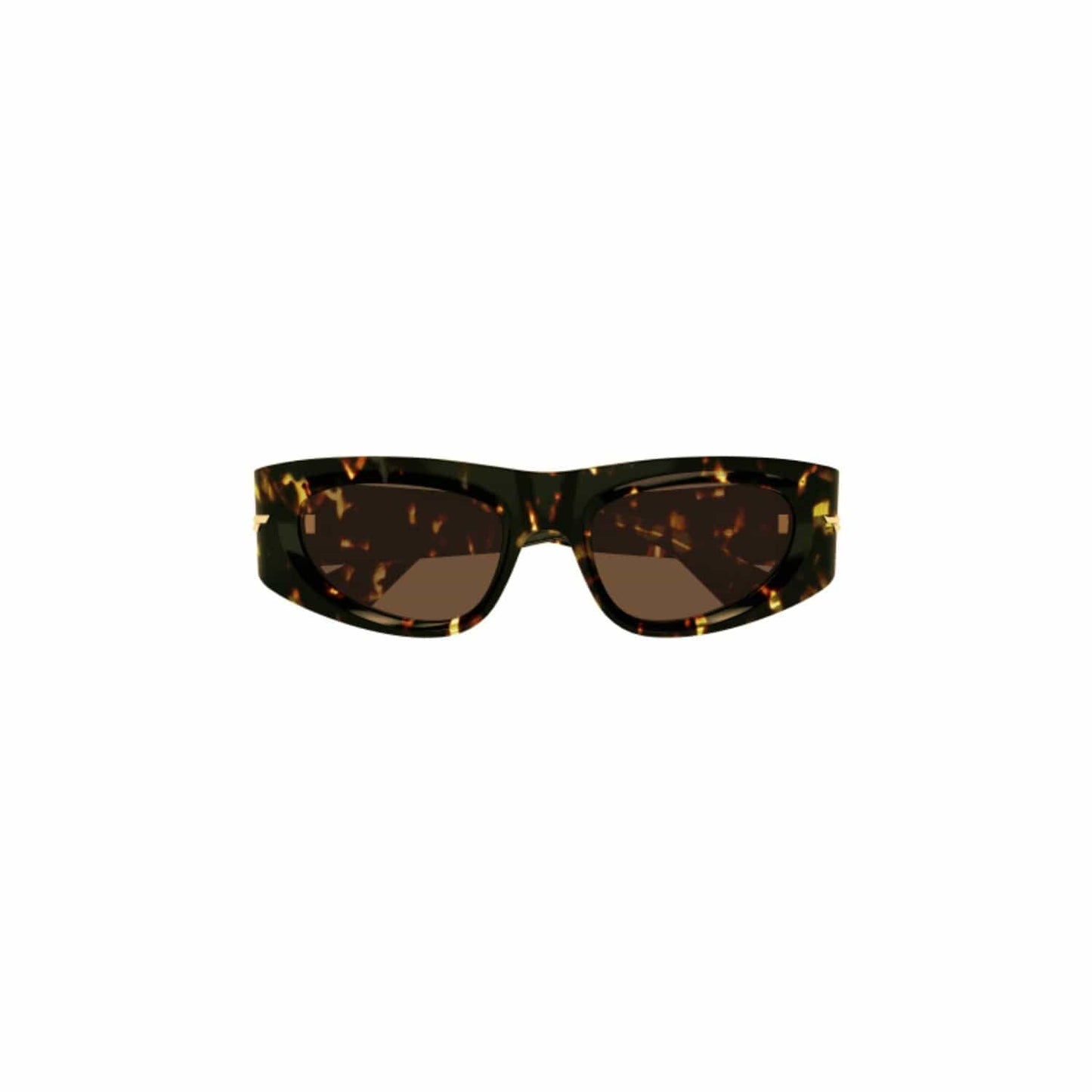 Bottega Veneta BV1144S - carey