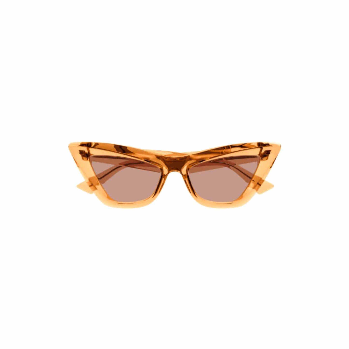Bottega Veneta 1101- B