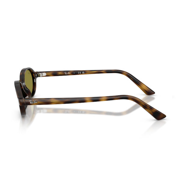 Ray-Ban - Khal