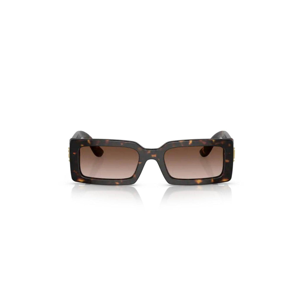 Dolce&Gabbana - DG4416 - 502/13 Habana - oculosopticaonline