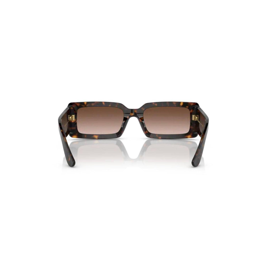 Dolce&Gabbana - DG4416 - 502/13 Habana - oculosopticaonline